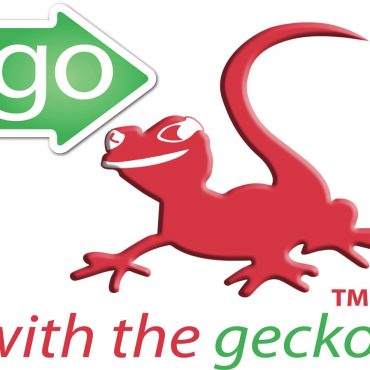 GoWithTheGecko